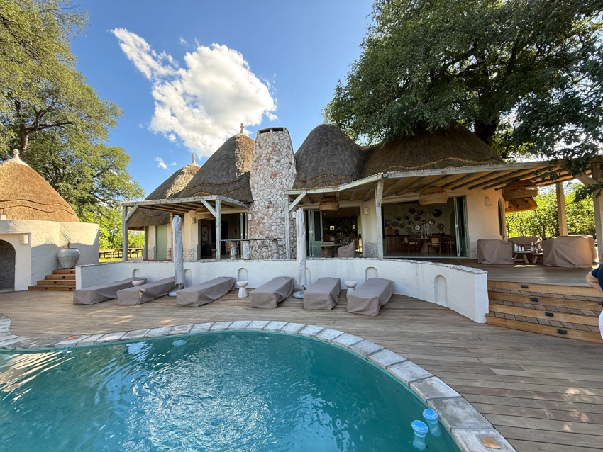 Thatched safari buildings surround a tranquil swimming pool, offering a relaxed space to unwind between wildlife encounters.