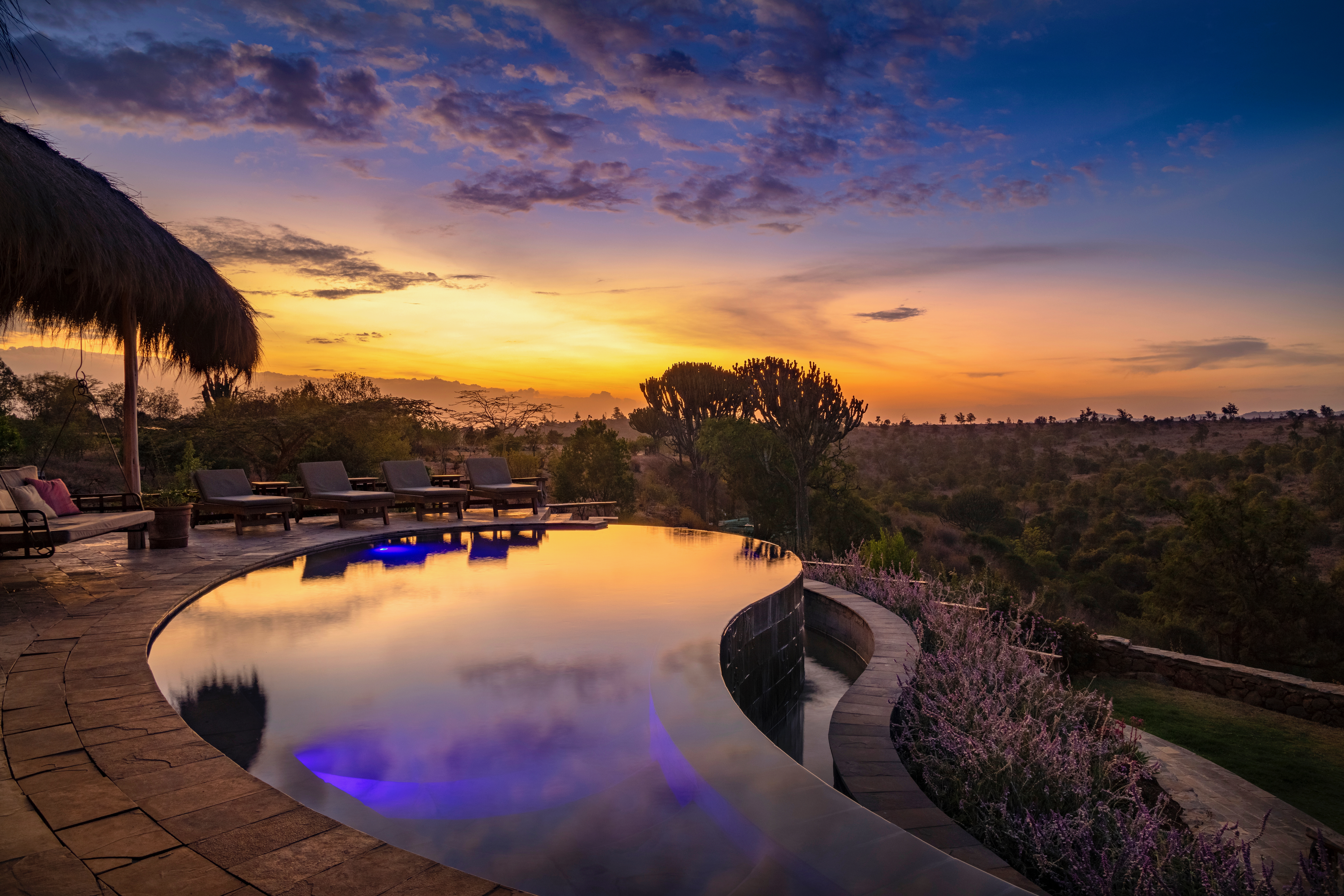 Infinity pool at Olepangi Farm reflecting an orange and violet sunset, with sun loungers, a thatched umbrella and euphorbia trees beyond.