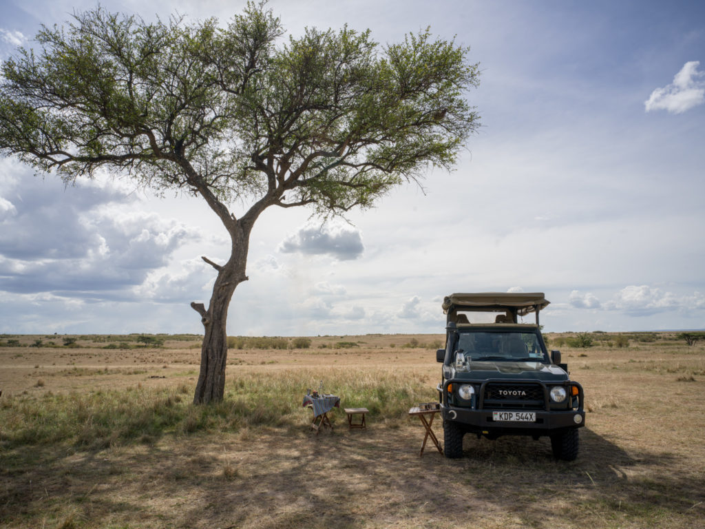 Bush breakfast set on folding tables beneath a lone acacia, beside an open-sided four-wheel drive on the wide grass plains of the Maasai Mara.