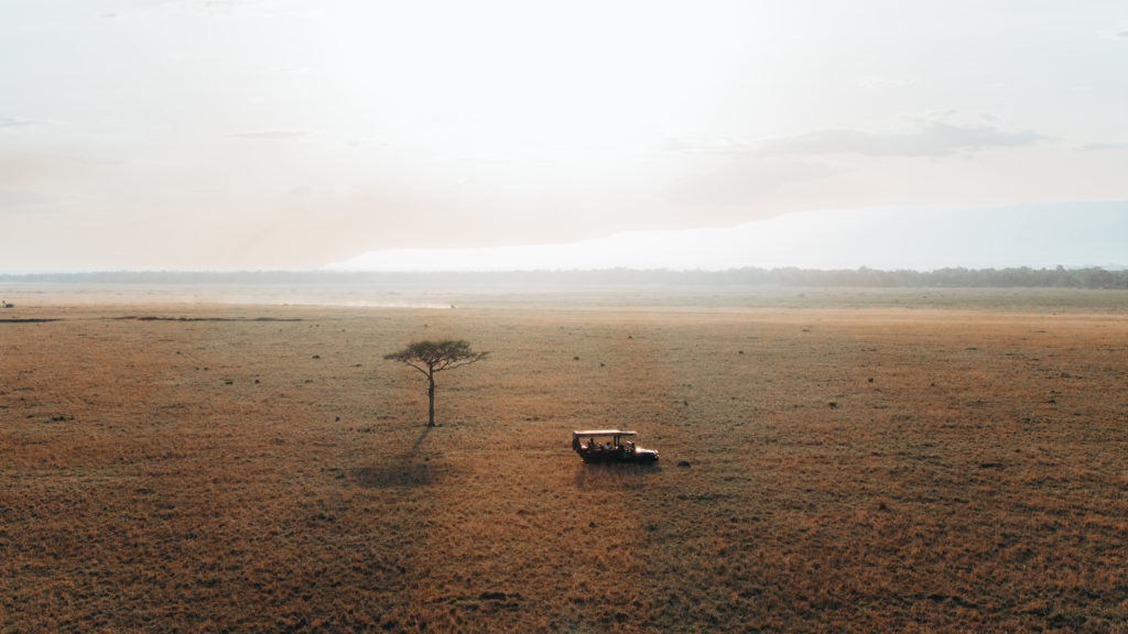 Open game drive vehicle crossing golden grassland beside a lone acacia in hazy early light, with an escarpment on the horizon, Maasai Mara.