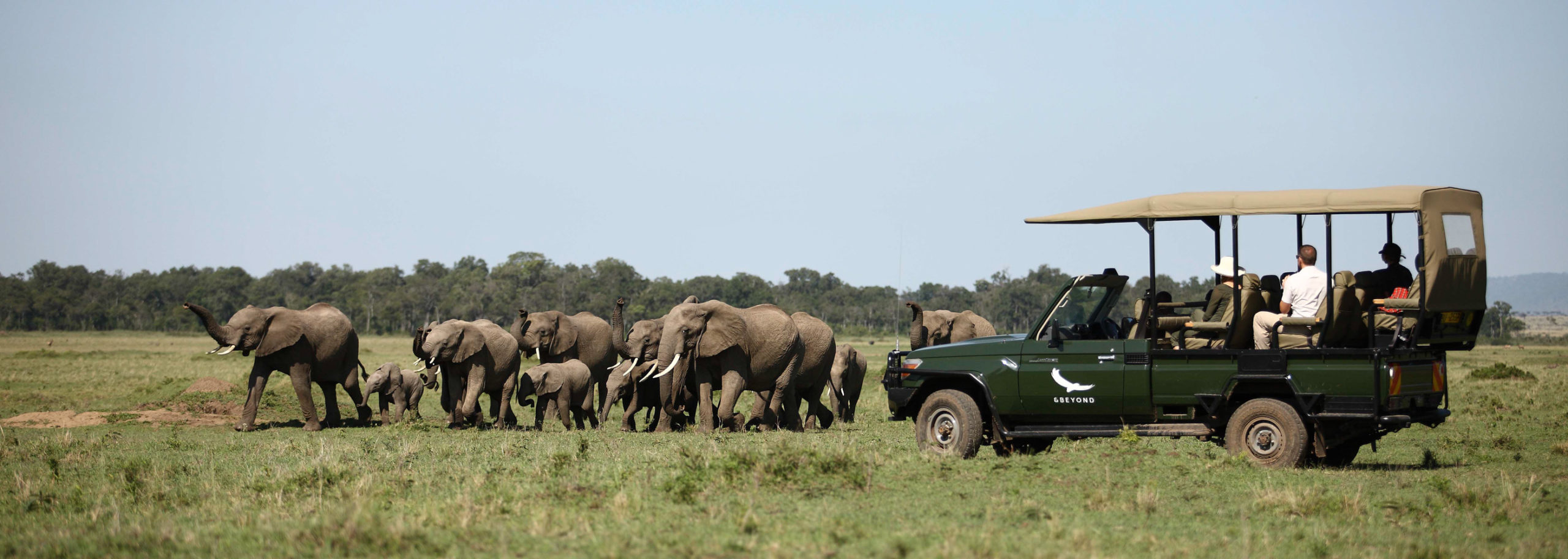 A herd of elephants, including several calves, crosses the grasslands past a stationary game-viewing vehicle