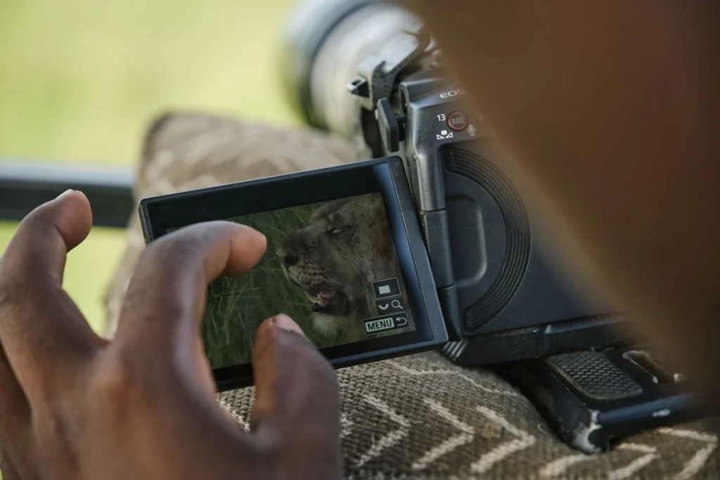 Researcher reviewing lion identification photos on a camera screen during a Kyambura Lion Monitoring Project game drive in Queen Elizabeth National Park