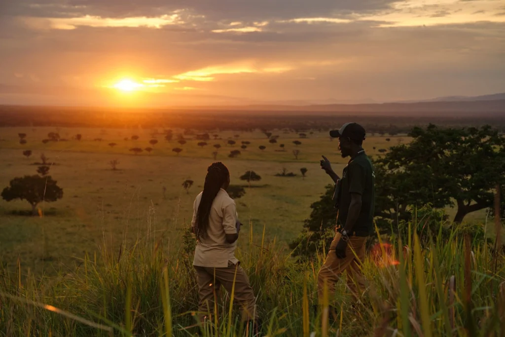 Guide and guest walking the Fig Tree Trail at sunset, overlooking the acacia-dotted plains of Queen Elizabeth National Park, Uganda