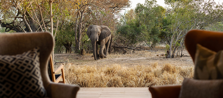 Monwana Game Lodge Thornybush Game Reserve The Classic Safari Company Monwana Game Lodge Thornybush Game Reserve The Classic Safari Company