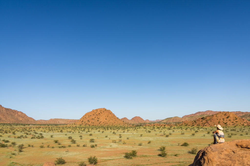 A guest sits alone atop a boulder viewpoint, looking out over a lush green valley dotted with trees after Damaraland's rains.