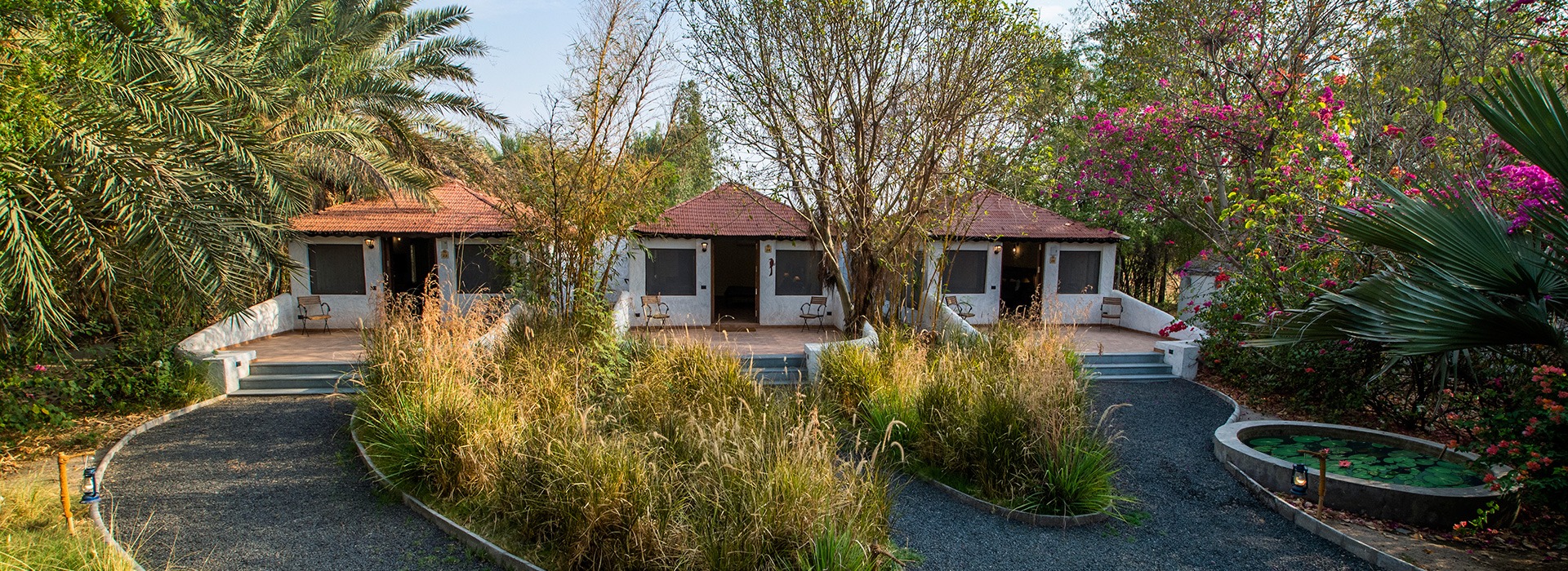 Bhunga-style cottages at Rann Riders set among palms and flowering shrubs, with a lily pond in the foreground.