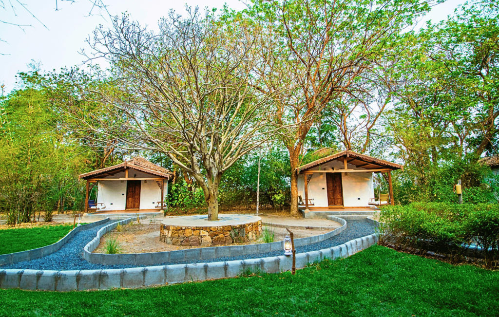 Twin Kooba cottages with thatched roofs and wooden porch swings, set among trees at Rann Riders.