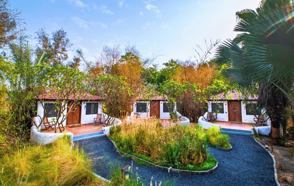 Cluster of Safari Cottages with terracotta roofs set among frangipani trees and tall grasses.