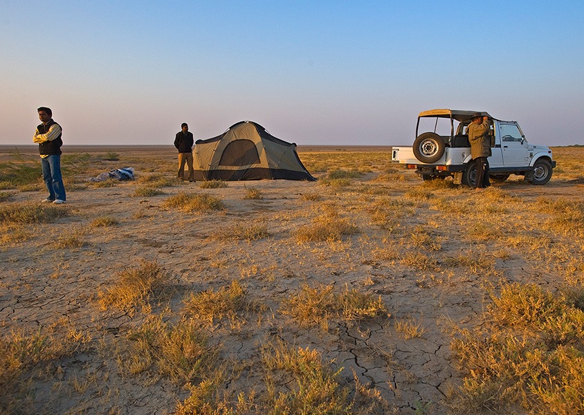 A safari tent pitched on the open salt flats of the Little Rann of Kutch at dusk, with a jeep and guides nearby.
