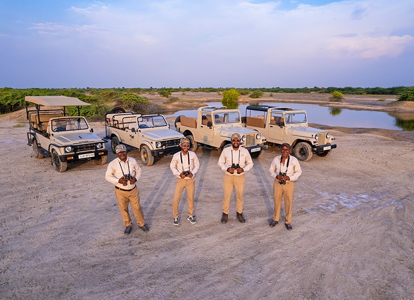 Rann Riders' safari team and their fleet of open-top jeeps lined up beside a waterhole at dusk.