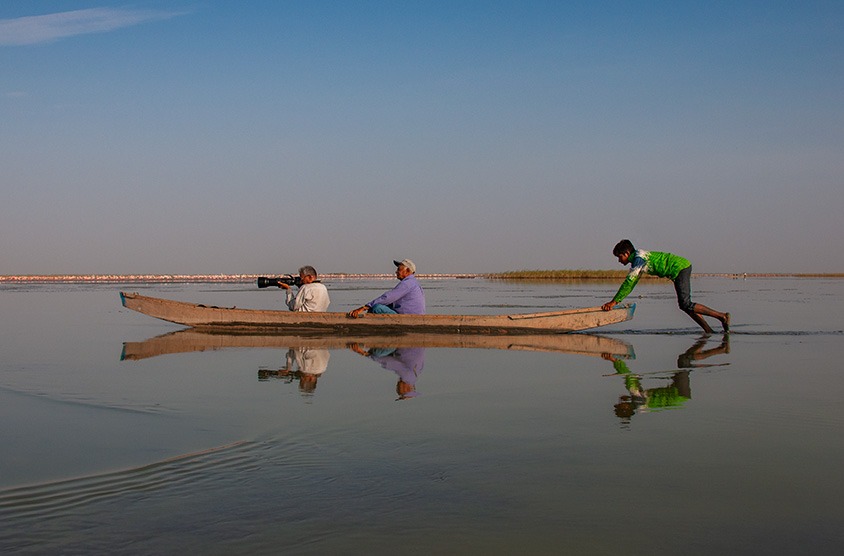 A guest photographing flamingos from a traditional wooden boat on the still waters of the Rann.