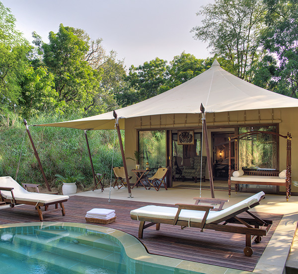 Luxury tented camp next to a beautiful swimming pool in Ranthambore, India 