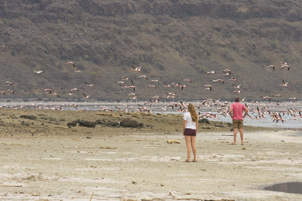 Two guests stand on a salt-crusted shore as a flock of flamingos lifts off the lake below a rocky escarpment in Kenya.