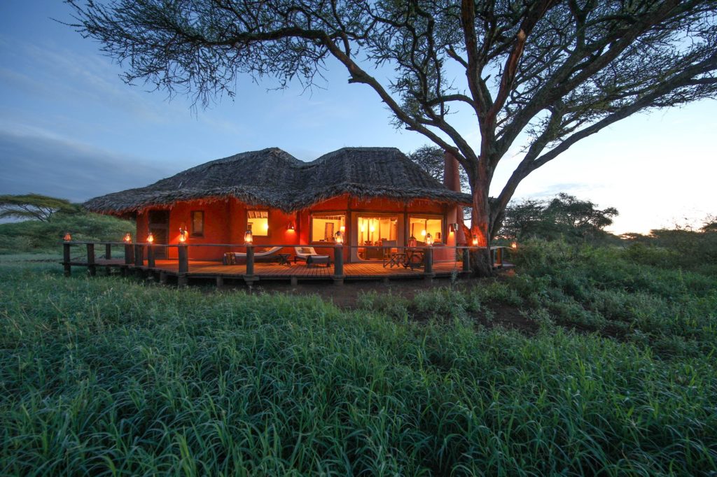 Thatched cottage at Tawi Lodge glowing at dusk, with hurricane lanterns along its deck and a tall acacia overhead.