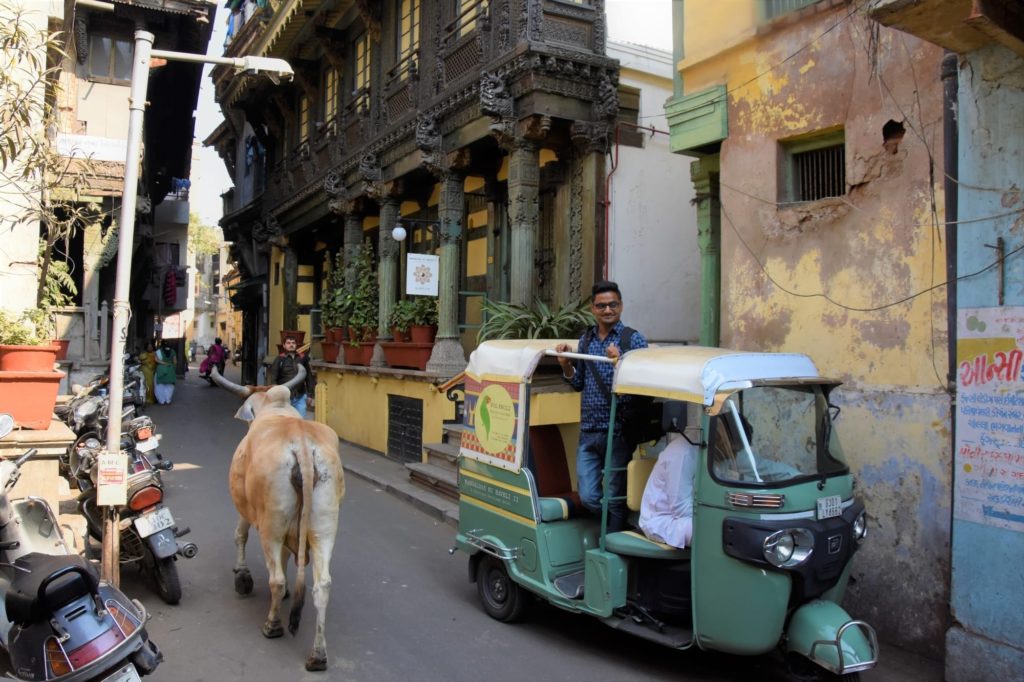 A cow ambles down a narrow lane past a green tuk tuk and the ornately carved wooden facade of a heritage pol house.