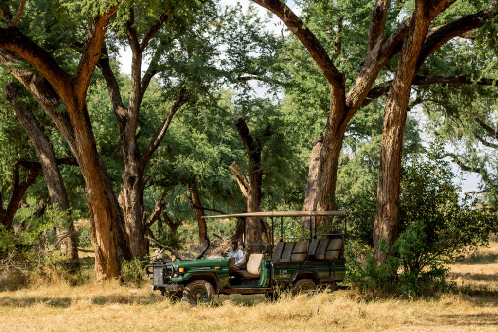 A guide sits in an open safari vehicle beneath a canopy of tall trees in the Lower Zambezi.
