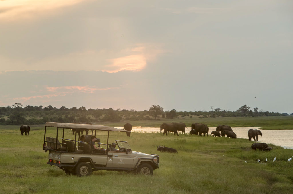 A Muchenje game drive vehicle watches as a herd of elephant and a group of buffalo gather at the Chobe River's edge at dusk, the sky flushed orange behind them.