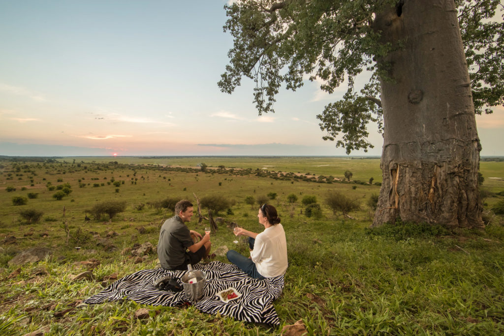 A couple share sundowners on a zebra-print blanket beneath an ancient baobab tree, the Chobe floodplains stretching to a rose-gold horizon behind them.