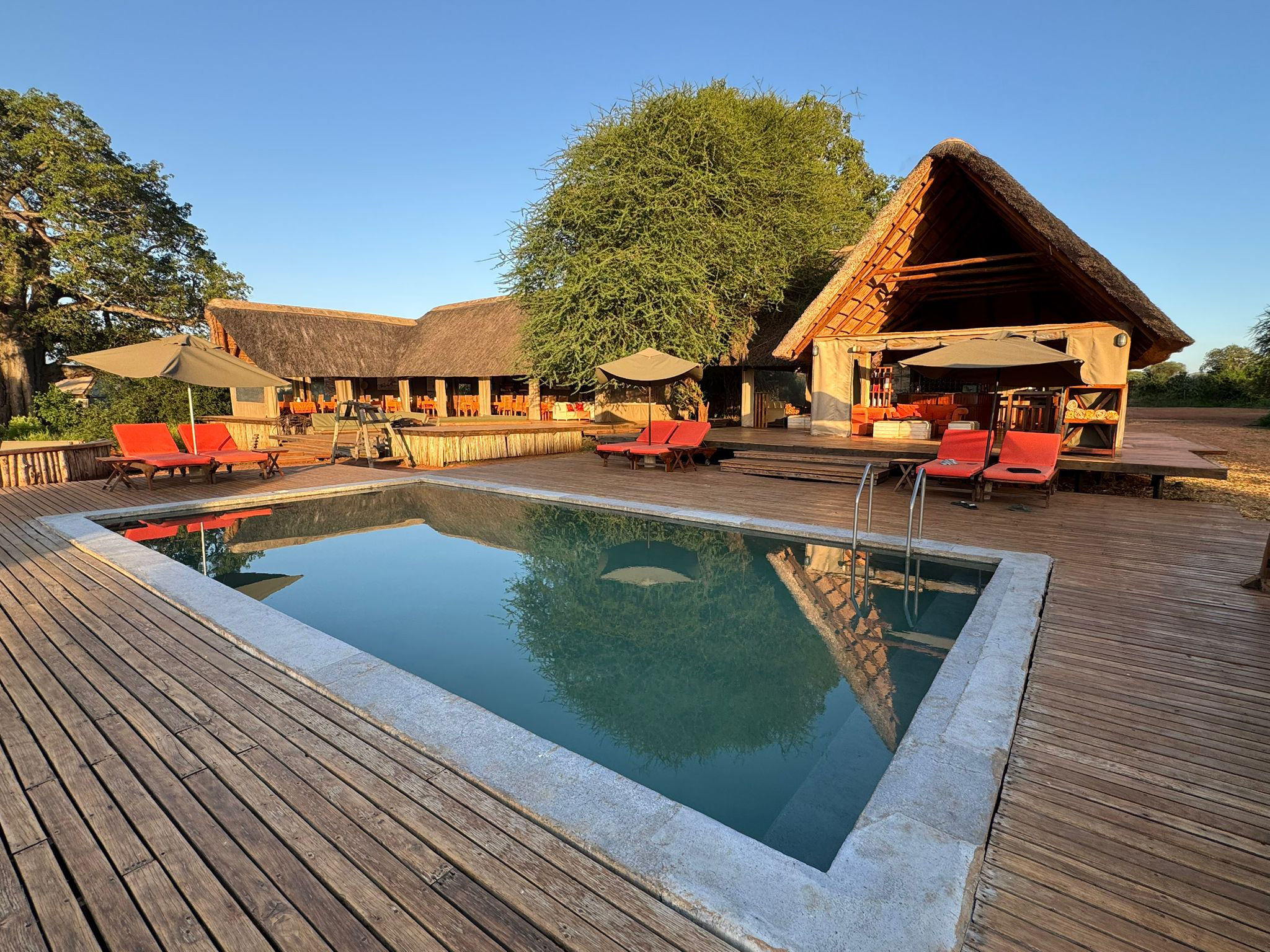 Tarangire Ndovu Tanzania Safari Camp communal pool