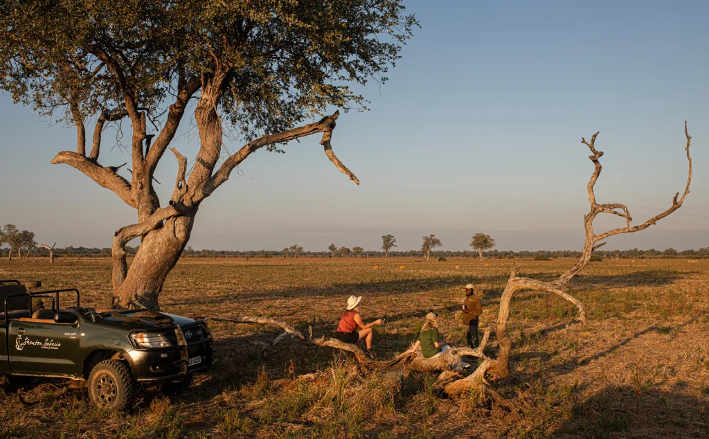 A small group of guests and a guide pause beside a Shenton Safaris game vehicle at golden hour, seated on a fallen tree overlooking a wide, open floodplain with distant wildlife visible on the horizon, South Luangwa National Park, Zambia.
