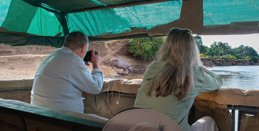 Two guests photograph a hippo on the sandy bank of the Luangwa River from a shaded boat hide, the river channel and green treeline stretching beyond, South Luangwa, Zambia.