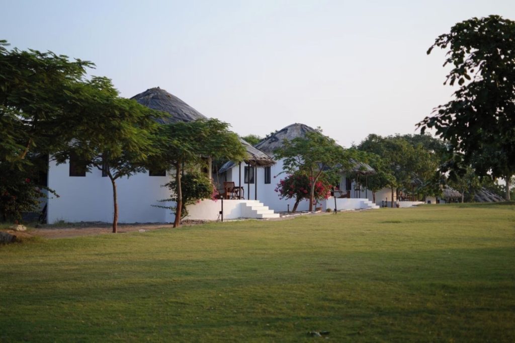 Thatched cottages set among trees on the resort lawn at dusk