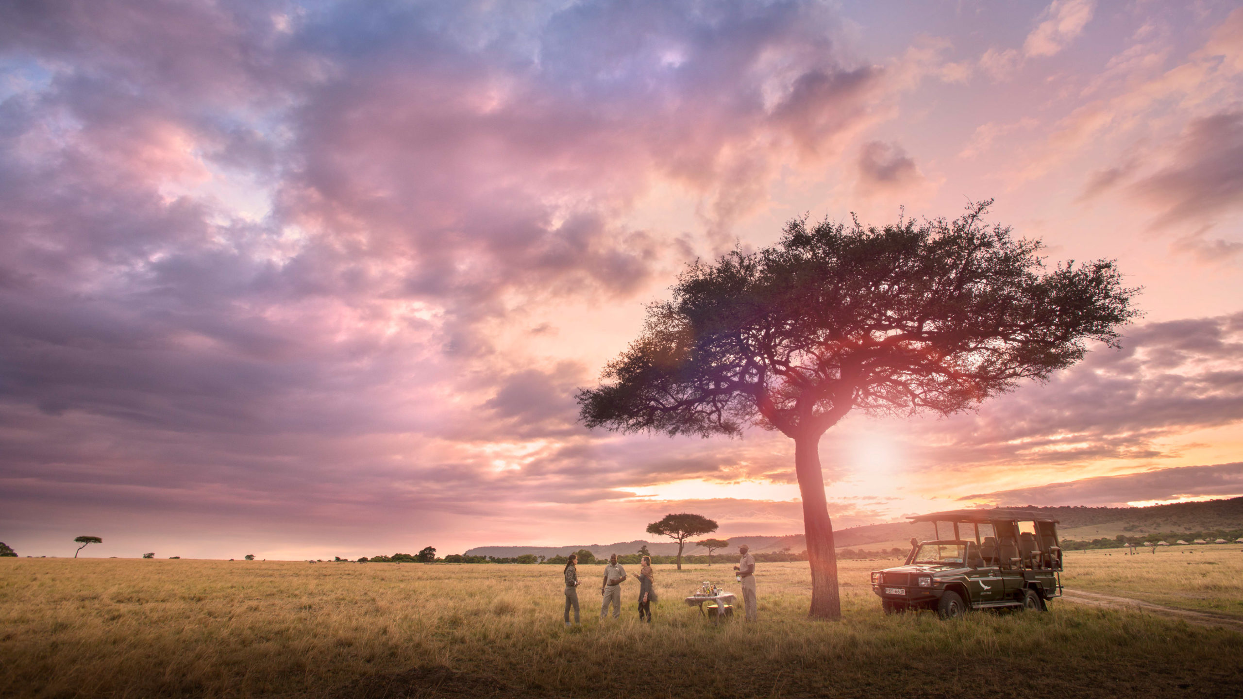 Guests and their guide share sundowners beneath a lone acacia tree as the sky turns pink over Kenya's Maasai Mara