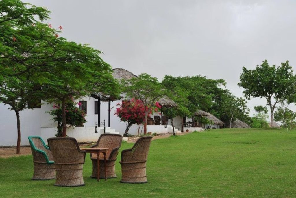 Wicker chairs on the lawn facing a row of thatched cottages