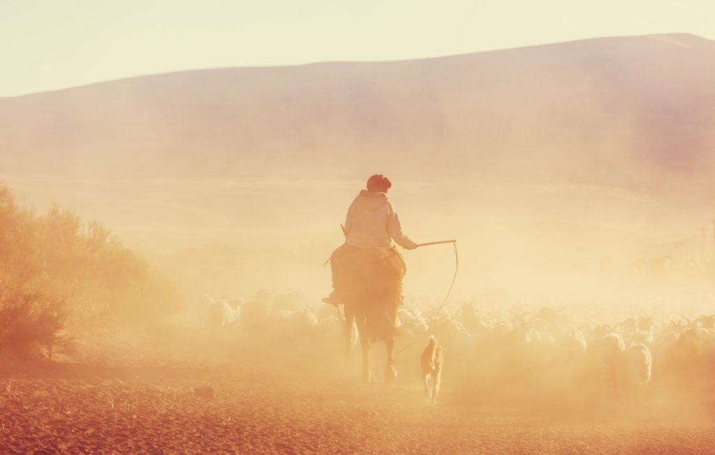 Gauchos and herd of goats at sunset in Patagonia, Argentina