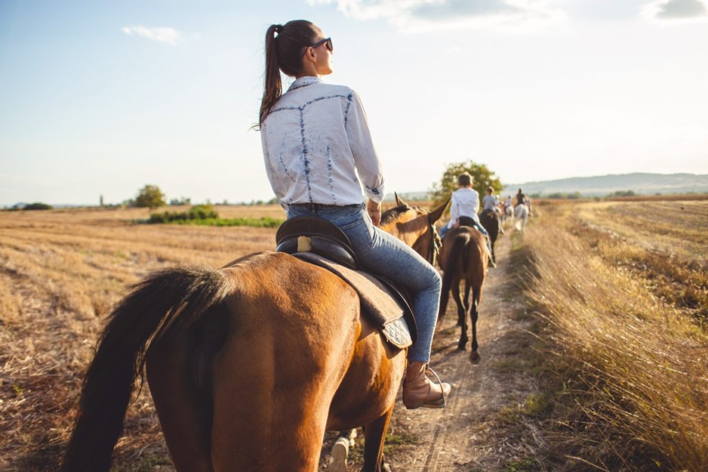 A rider looks out across open farmland from horseback, part of a line of riders following behind.