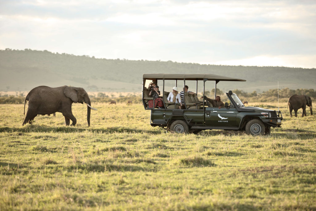 A safari vehicle pauses beside a grazing elephant as guests photograph the scene