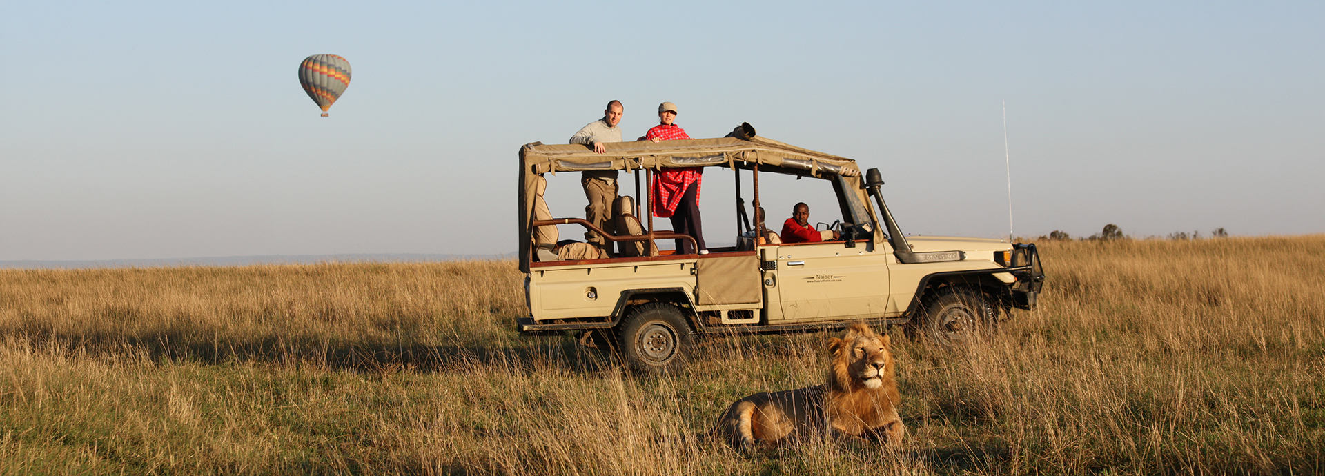 Guests stand through the roof of a Naibor safari vehicle to photograph a resting male lion in the grass, with a hot air balloon drifting over the plains behind them.