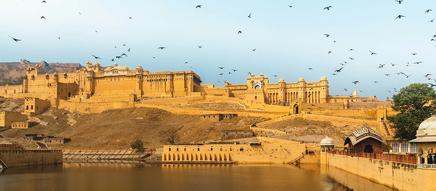 Golden sandstone walls of Amer Fort rising above Maota Lake in Jaipur, Rajasthan, with birds flying overhead.