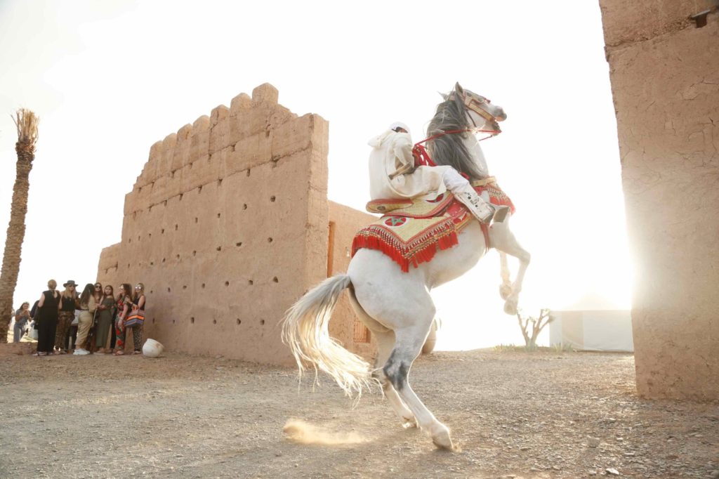 A white horse rears in traditional Moroccan tack before a mudbrick kasbah wall as onlookers watch.