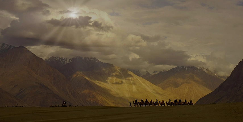 A caravan of camels crossing a vast Himalayan plateau in Ladakh, silhouetted against dramatic mountain ranges beneath shifting cloud cover. 