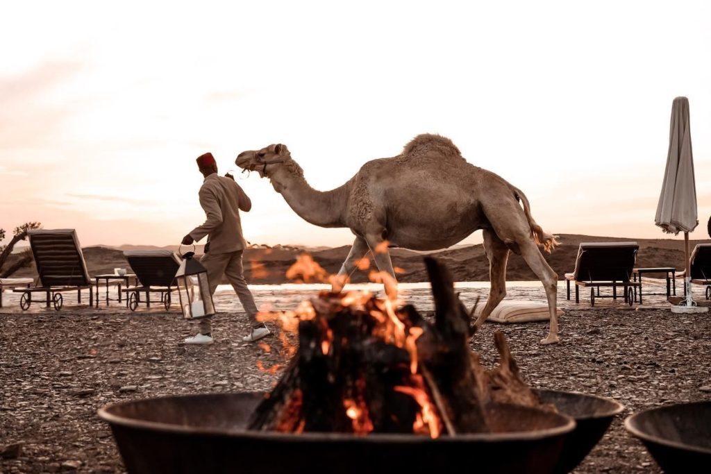 A camel is led past a fire pit at dusk, sunloungers lined up beside the pool in the fading light.