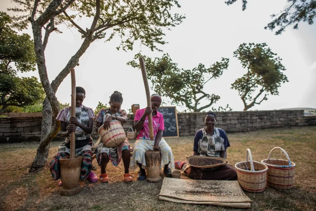 Women of the Kyambura Women's Coffee Cooperative hand-pounding and sorting coffee beans with traditional mortars and baskets, Uganda