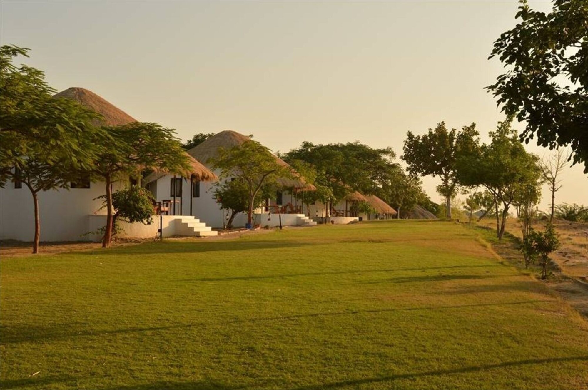 Thatched cottages along the hilltop lawn in evening light