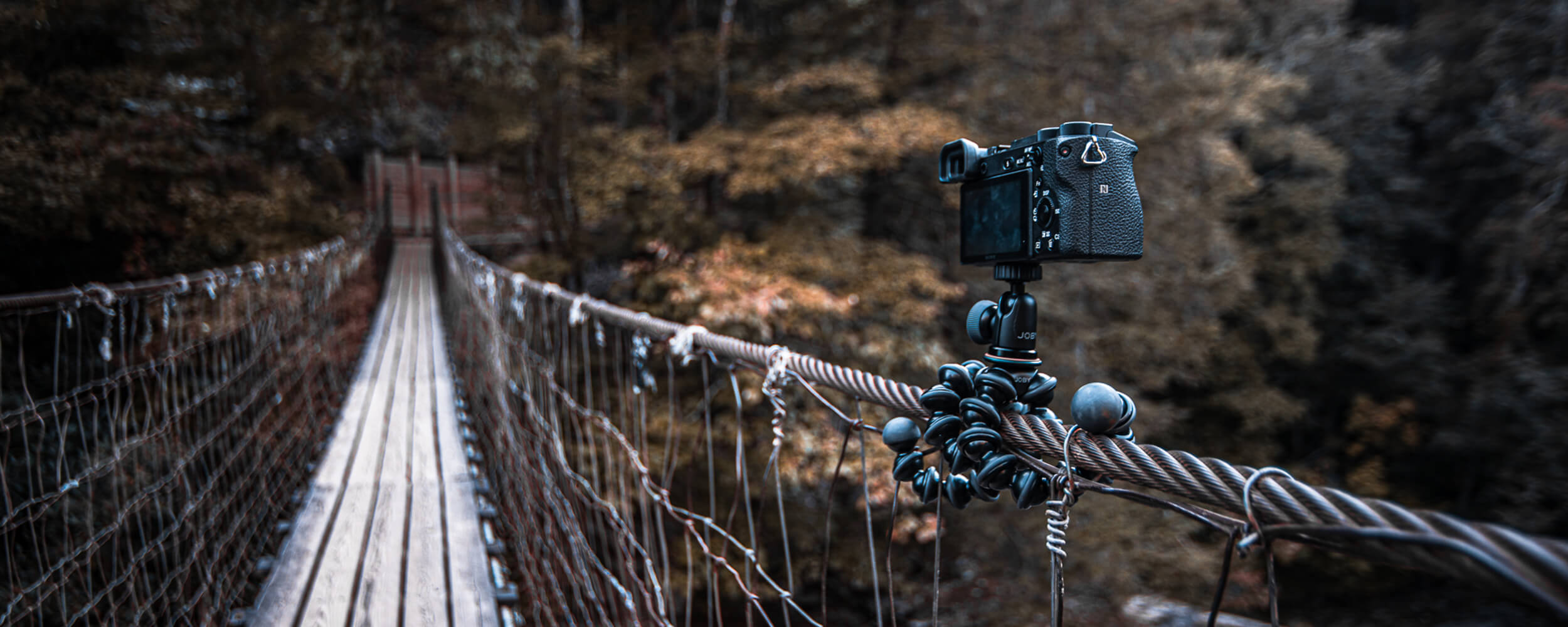 Versatile camera grip on a rope bridge